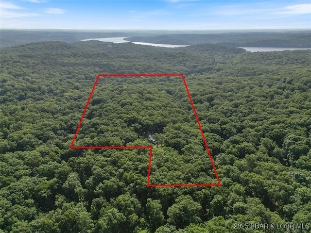 32655 Challenge Dr, Lincoln, MO 65338 - aerial overview of property's location with a forest and property parcel outlined