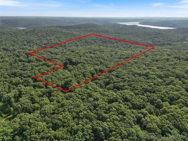 32655 Challenge Dr, Lincoln, MO 65338 - aerial view of property's location featuring a forest and property parcel outlined