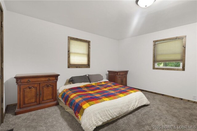 5109 Aqua Dr, Osage Beach, MO 65065 - view of carpeted bedroom