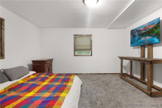 5109 Aqua Dr, Osage Beach, MO 65065 - bedroom with carpet and baseboards