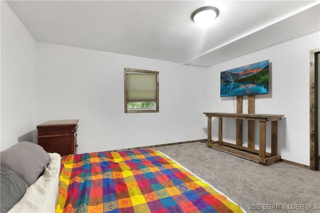 5109 Aqua Dr, Osage Beach, MO 65065 - carpeted bedroom with baseboards