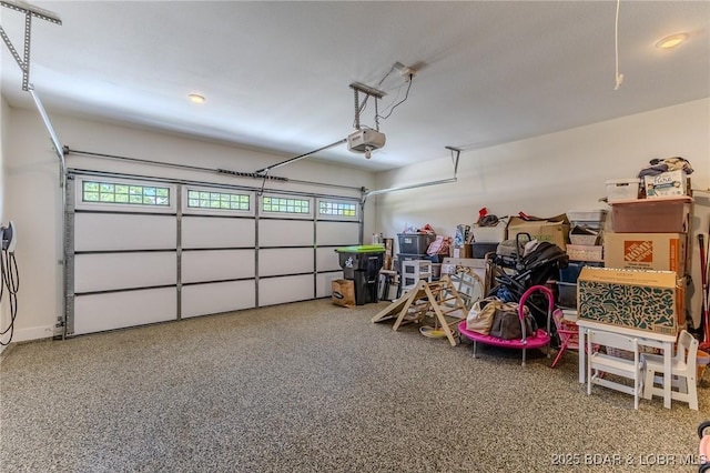 28 Simple Time Dr, Camdenton, MO 65020 - garage featuring a garage door opener