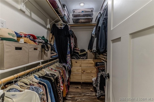 28 Simple Time Dr, Camdenton, MO 65020 - spacious closet featuring dark wood-style flooring