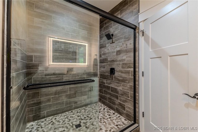 28 Simple Time Dr, Camdenton, MO 65020 - full bathroom featuring a shower stall