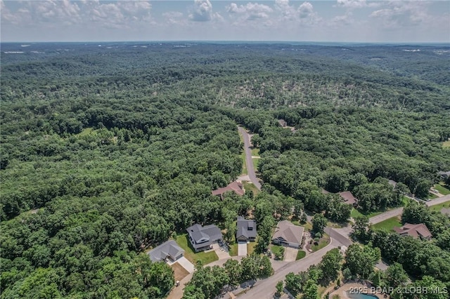 28 Simple Time Dr, Camdenton, MO 65020 - bird's eye view of a forest