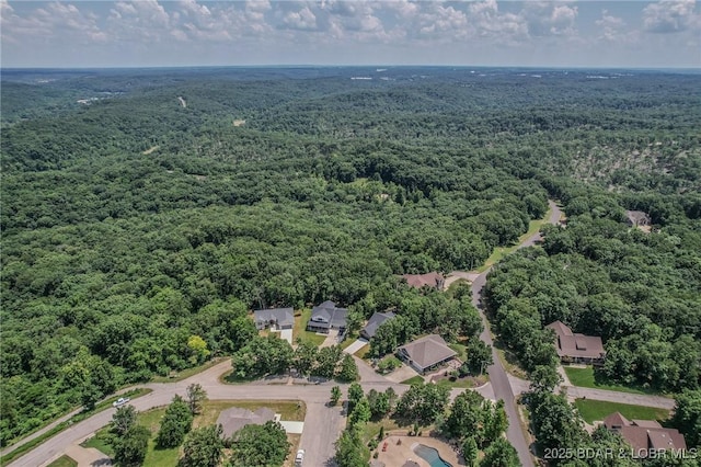 28 Simple Time Dr, Camdenton, MO 65020 - bird's eye view of a forest