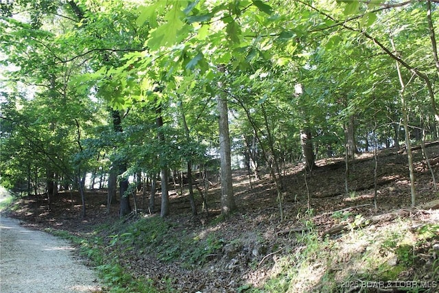 Karen Rd, Gravois Mills, MO 65037 - photo 1