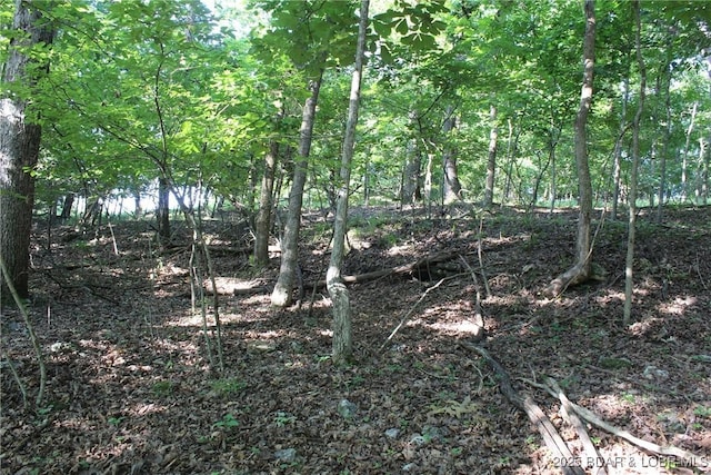 Karen Rd, Gravois Mills, MO 65037 - photo 2