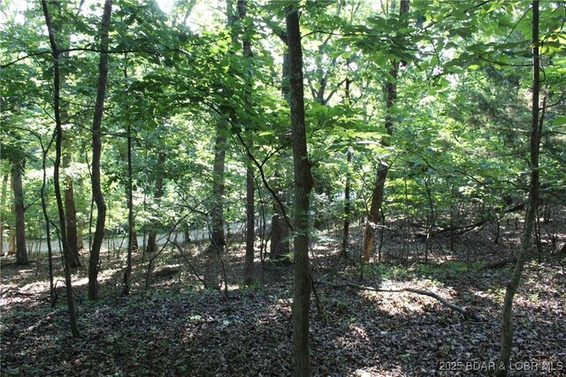 Karen Rd, Gravois Mills, MO 65037 - photo 3