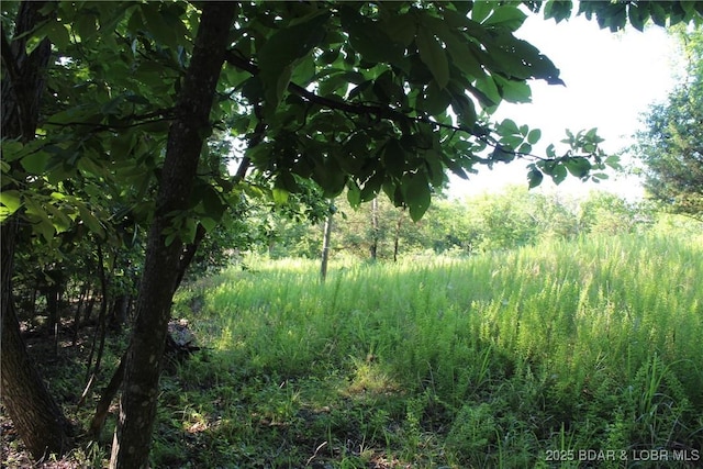 Karen Rd, Gravois Mills, MO 65037 - photo 4