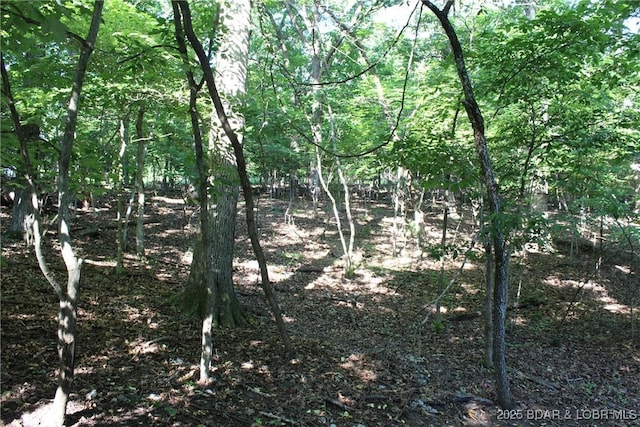 Karen Rd, Gravois Mills, MO 65037 - photo 6
