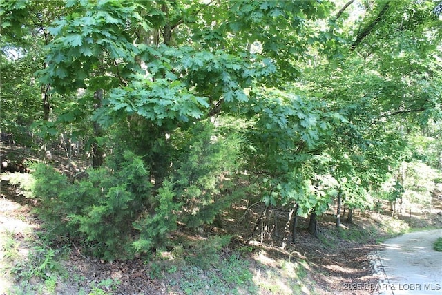 Karen Rd, Gravois Mills, MO 65037 - photo 7