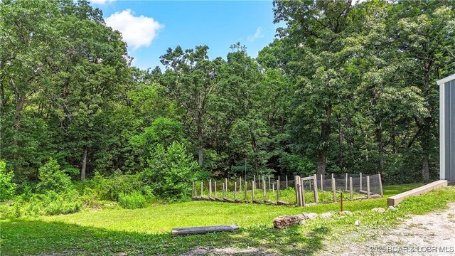 141 Dusty Trl, Linn Creek, MO 65052 - photo 30