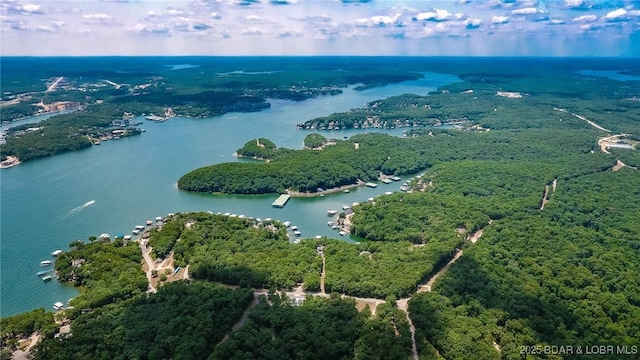28 Eleven W Ct Unit 2A, Sunrise Beach, MO 65079 - drone / aerial view of a nearby body of water and a forest