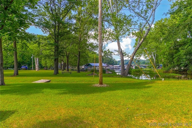 461 Anthony Cove Rd, Camdenton, MO 65020 - photo 21