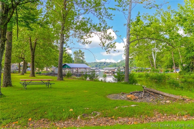 461 Anthony Cove Rd, Camdenton, MO 65020 - photo 22