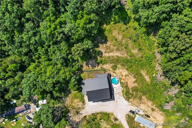 1972 Anderson Hollow Rd, Linn Creek, MO 65052 - aerial overview of property's location
