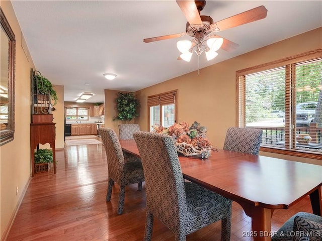 245 Adrian Ln, Climax Springs, MO 65324 - photo 13