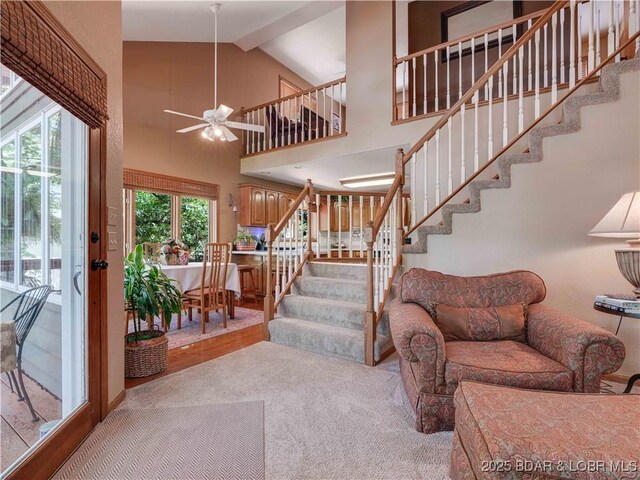 245 Adrian Ln, Climax Springs, MO 65324 - photo 22