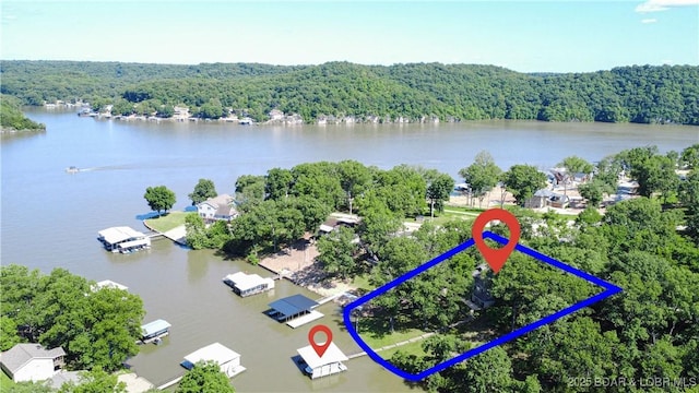 245 Adrian Ln, Climax Springs, MO 65324 - photo 4