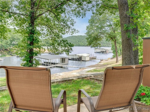 245 Adrian Ln, Climax Springs, MO 65324 - photo 49