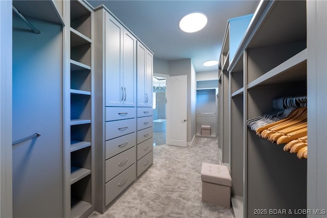 348 Cedar Crest Dr, Lake Ozark, MO 65049 - walk in closet with light carpet