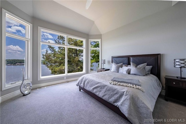 348 Cedar Crest Dr, Lake Ozark, MO 65049 - bedroom with carpet and lofted ceiling