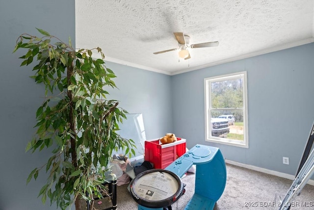 1123 Woodland Dr, Eldon, MO 65026 - game room with carpet, a ceiling fan, crown molding, and a textured ceiling