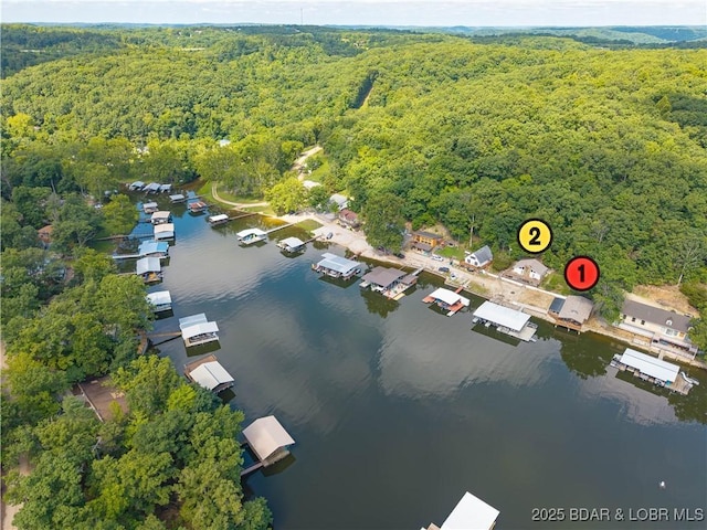159 Bermuda Dr, Camdenton, MO 65020 - photo 1