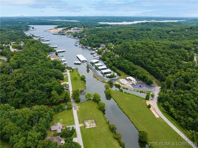 57 Brookshire Ln, Camdenton, MO 65020 - photo 47