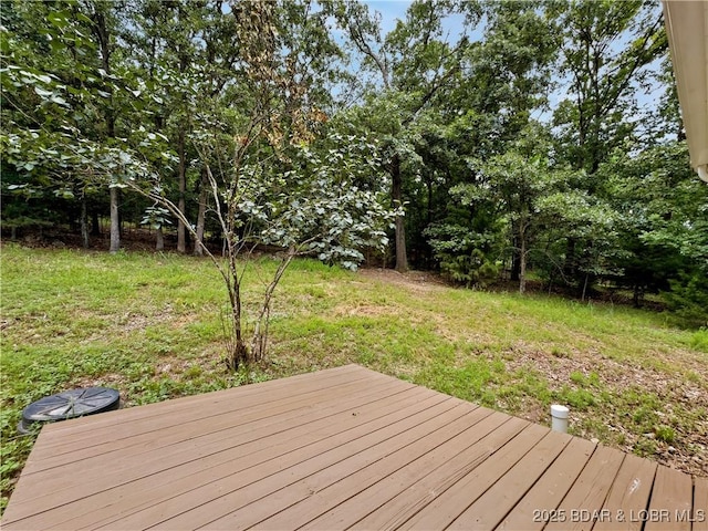 57 Brookshire Ln, Camdenton, MO 65020 - photo 38