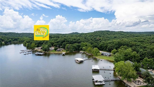 57 Ke Jo Point Rd, Gravois Mills, MO 65037 - aerial view of a heavily wooded area and a large body of water