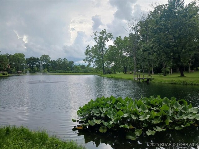 22 Vienna Woods Dr, Eldon, MO 65026 - photo 46