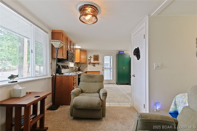 88 Dearest Ln, Linn Creek, MO 65052 - photo 18