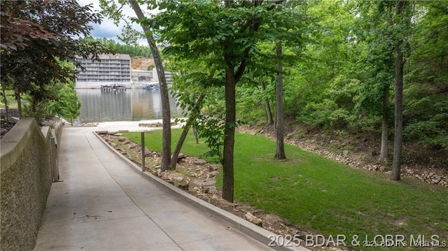 451 Wedge Wood Dr, Camdenton, MO 65020 - photo 40