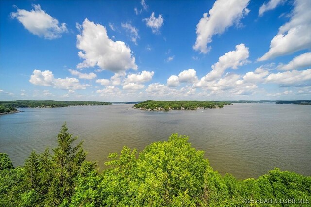 1300 Swiss Village Rd, Osage Beach, MO 65065 - photo 5