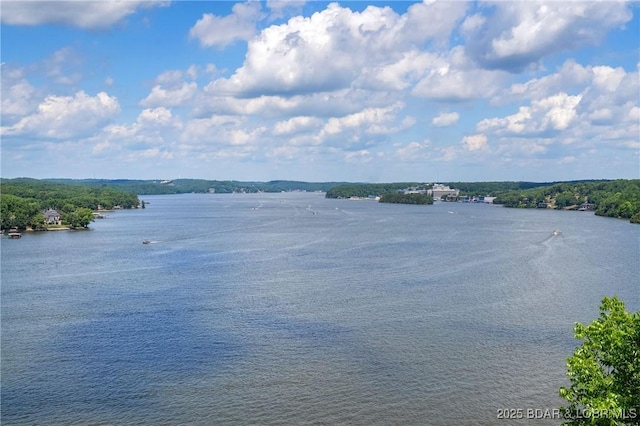 1300 Swiss Village Rd, Osage Beach, MO 65065 - photo 8
