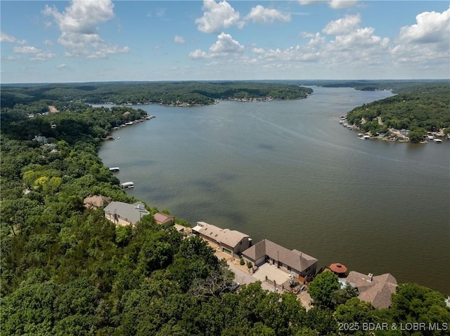 1300 Swiss Village Rd, Osage Beach, MO 65065 - photo 35