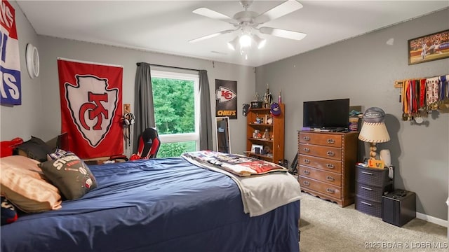 611 Woodbridge Rd, Camdenton, MO 65020 - photo 36