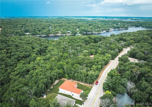 432 Cornett Branch Rd, Four Seasons, MO 65049 - bird's eye view of a large body of water