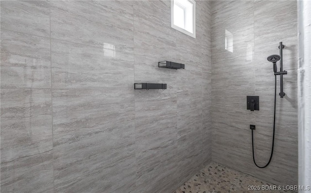 432 Cornett Branch Rd, Four Seasons, MO 65049 - full bath with tiled shower