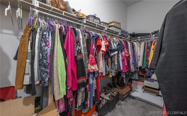 432 Cornett Branch Rd, Four Seasons, MO 65049 - spacious closet featuring carpet floors