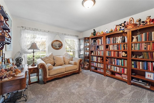 1008 Beacon Ridge Dr, Lake Ozark, MO 65049 - sitting room with carpet flooring