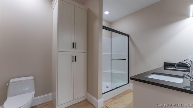1254 Darwin Dr, Osage Beach, MO 65065 - bathroom with a stall shower, a closet, vanity, and recessed lighting