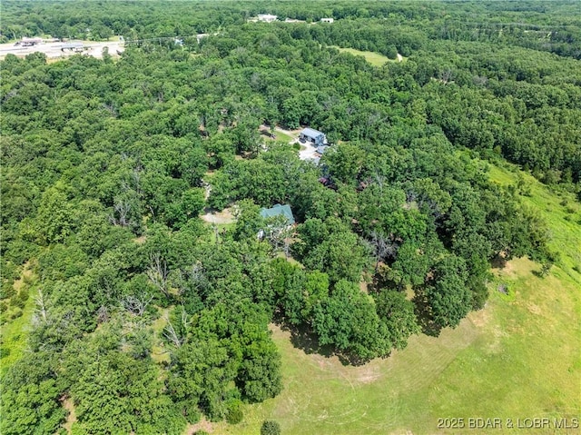 196 Shoemaker Dr, Macks Creek, MO 65786 - photo 43