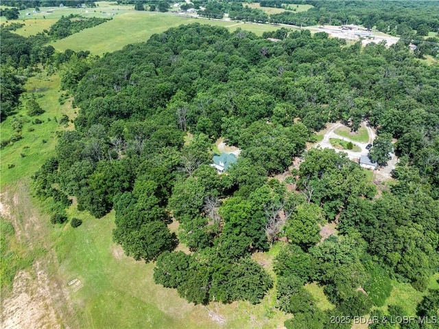 196 Shoemaker Dr, Macks Creek, MO 65786 - photo 44