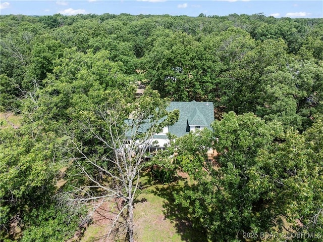 196 Shoemaker Dr, Macks Creek, MO 65786 - photo 45