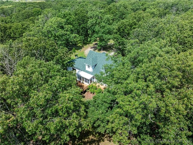 196 Shoemaker Dr, Macks Creek, MO 65786 - photo 46
