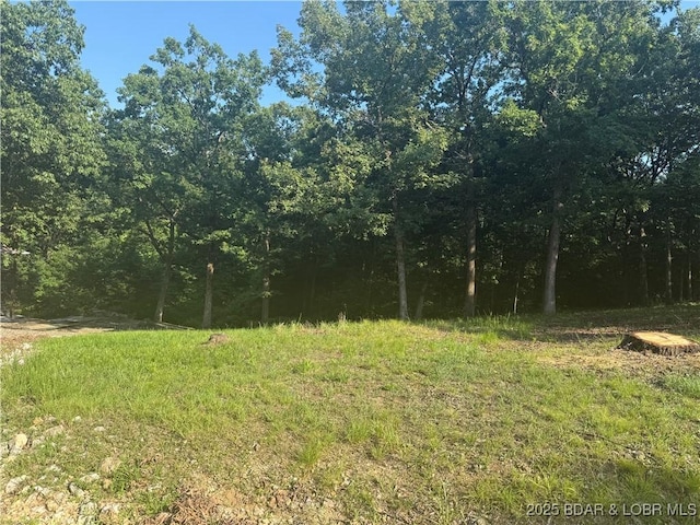 LOTSA Shawnee Four Way, Sunrise Beach, MO 65079 - photo 1