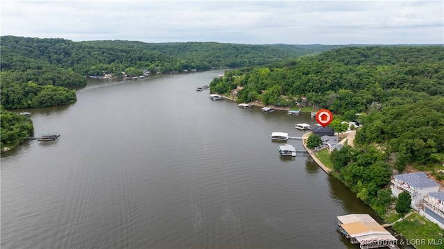 1998 Alcorn Hollow Rd, Roach, MO 65787 - photo 47